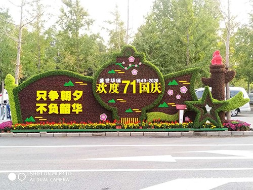 北京五色草造型