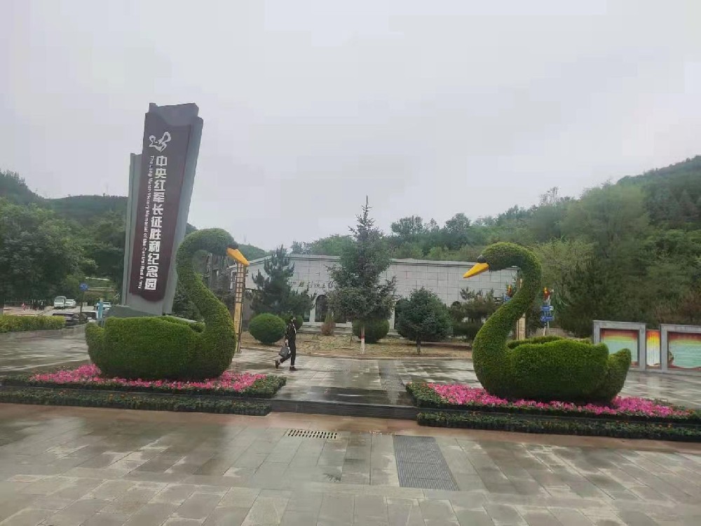 石家庄绿雕